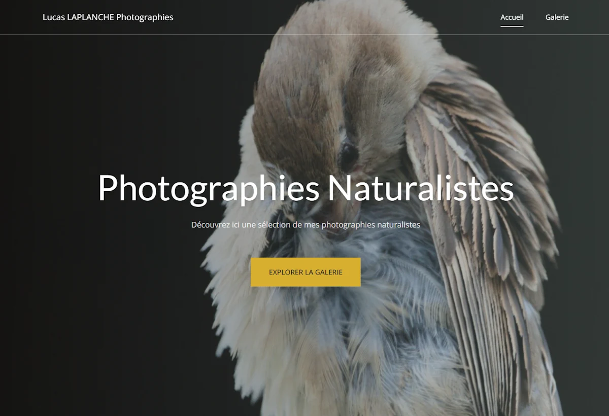 Lucas Laplanche Photographie